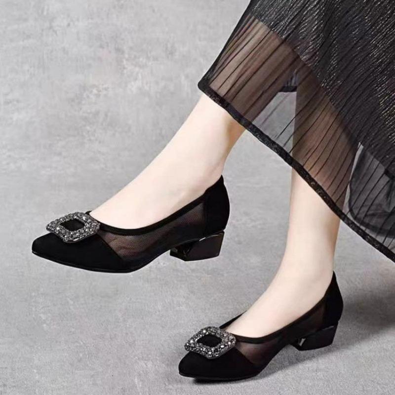 Women'S Fashion Footwear - Elegant Pointed Toe Mesh Block Heel