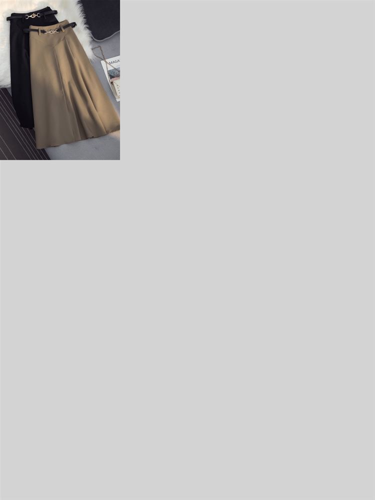 Spring Autumn New Style Women' - A-Line Skirt Midi 评论和价格