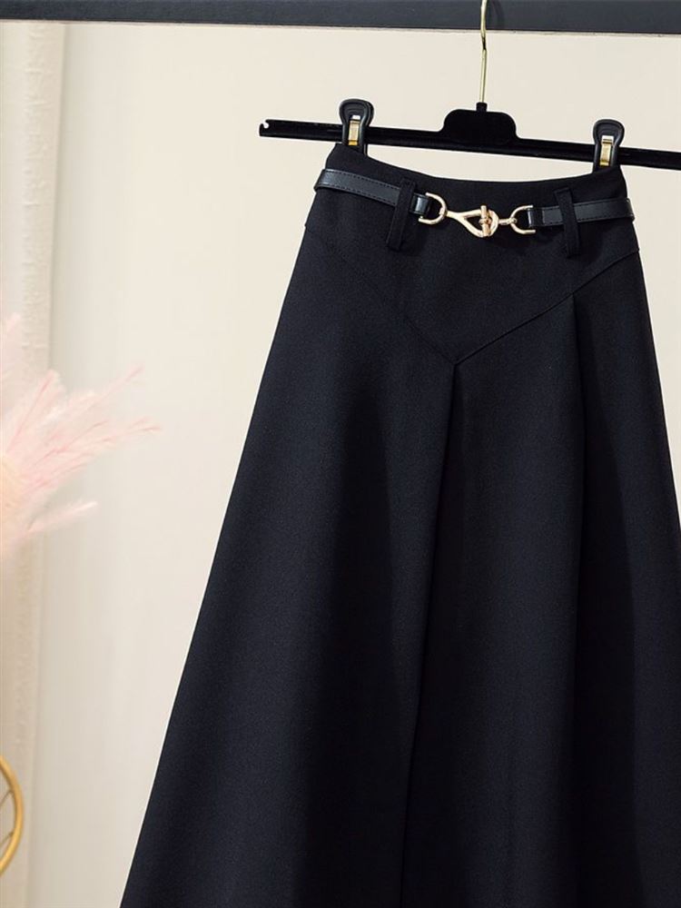 Spring Autumn New Style Women' - A-Line Skirt Midi 评论和价格