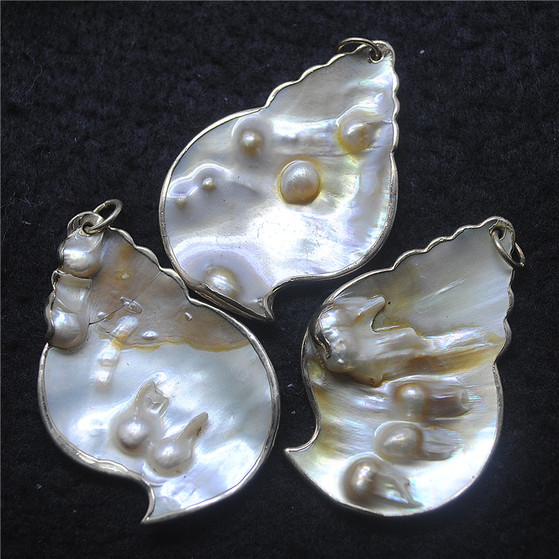 3PCS Nature Shell Pendants Mot - Women Fashion Nz 评论和价格