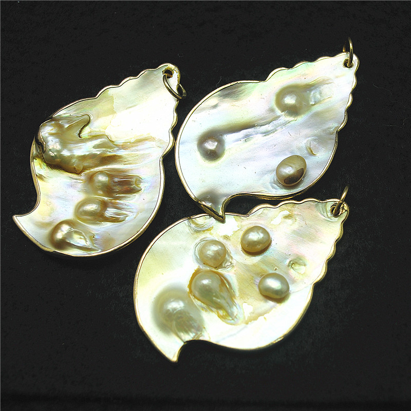 3PCS Nature Shell Pendants Mot - Women Fashion Nz 评论和价格