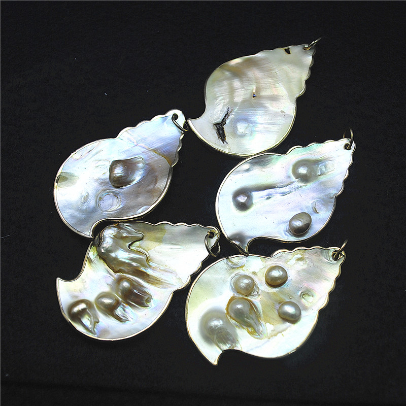 3PCS Nature Shell Pendants Mot - Women Fashion Nz 评论和价格